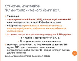 СТРУКТУРА МОНОМЕРОВ
ПАЛЬМИТОИЛСИНТАЗНОГО КОМПЛЕКСА
 7 доменов
 ацилпереносящий белок (АПБ), содержащий витамин В5 -
пантотеновую кислоту в виде 4´-фосфопантетеина
 6 ферментов: трансацилаза, кетоацил-синтаза,
кетоацил-редуктаза, гидратаза, еноил-редуктаза,
тиоэстераза
 активные центры каждого мономера содержат 2 SH-группы:
 SH-группа 4´-фосфопантетеина АПБ
 SH-группа цистеина кетоацил-синтазы
 мономеры расположены по типу «голова к хвосту»: SH-
группа АПБ одного мономера расположена в
непосредственной близости от SH-группа кетоацил-синтазы
другого мономера
Схему строения комплекса см. на след. слайде
21
 