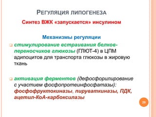 РЕГУЛЯЦИЯ ЛИПОГЕНЕЗА
Синтез ВЖК «запускается» инсулином
Механизмы регуляции
 стимулирование встраивания белков-
переносчиков глюкозы (ГЛЮТ-4) в ЦПМ
адипоцитов для транспорта глюкозы в жировую
ткань
 активация ферментов (дефосфорилирование
с участием фосфопротеинфосфатазы):
фосфофруктокиназы, пируваткиназы, ПДК,
ацетил-КоА-карбоксилазы
29
 