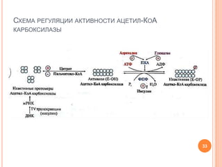 СХЕМА РЕГУЛЯЦИИ АКТИВНОСТИ АЦЕТИЛ-КОА
КАРБОКСИЛАЗЫ
33
 