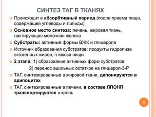 СИНТЕЗ ТАГ В ТКАНЯХ
 Происходит в абсорбтивный период (после приема пищи,
содержащей углеводы и липиды)
 Основное место синтеза: печень, жировая ткань,
лактирующая молочная железа
 Субстраты: активные формы ВЖК и глицерола
 Источник образования субстратов: продукты гидролиза
экзогенных жиров, глюкоза пищи
 2 этапа: 1) образование активных форм субстратов
2) перенос ацильных остатков на глицерол-3-Р
 ТАГ, синтезированные в жировой ткани, депонируются в
адипоцитах
 ТАГ, синтезированные в печени, в составе ЛПОНП
транспортируются в кровь
6
 