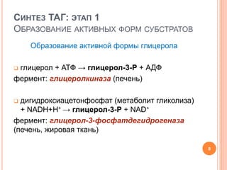 СИНТЕЗ ТАГ: ЭТАП 1
ОБРАЗОВАНИЕ АКТИВНЫХ ФОРМ СУБСТРАТОВ
Образование активной формы глицерола
 глицерол + АТФ → глицерол-3-Р + АДФ
фермент: глицеролкиназа (печень)
 дигидроксиацетонфосфат (метаболит гликолиза)
+ NADН+Н+ → глицерол-3-Р + NAD+
фермент: глицерол-3-фосфатдегидрогеназа
(печень, жировая ткань)
8
 