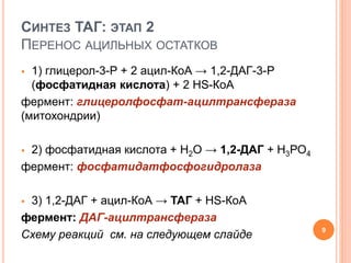 СИНТЕЗ ТАГ: ЭТАП 2
ПЕРЕНОС АЦИЛЬНЫХ ОСТАТКОВ
 1) глицерол-3-Р + 2 ацил-КоА → 1,2-ДАГ-3-Р
(фосфатидная кислота) + 2 HS-КoA
фермент: глицеролфосфат-ацилтрансфераза
(митохондрии)
 2) фосфатидная кислота + Н2О → 1,2-ДАГ + Н3РО4
фермент: фосфатидатфосфогидролаза
 3) 1,2-ДАГ + ацил-КоА → ТАГ + HS-КoA
фермент: ДАГ-ацилтрансфераза
Схему реакций см. на следующем слайде 9
 