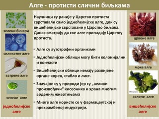 вишећелијске
алге
једноћелијске
алге
Алге - протисти слични биљкама
Научници су раније у Царство протиста
сврставали само једноћелијске алге, док су
вишећелијске сврставане у Царство биљака.
Данас сматрају да све алге припадају Царству
протиста.
• Алге су аутотрофни организми
• Једноћелијски облици могу бити колонијални
и кончасти
• Вишећелијски облици немају развијене
органе корен, стабло и лист.
• Значајне су у природи јер су „велики
произвођачи“ кисеоника и храна многим
воденим животињама
• Многе алге користе се у фармацеутској и
прехрамбеној индустрији.
зелени бичари
силикатне алге
ватрене алге
црвене алге
мрке алге
зелене алгезелене алге
 