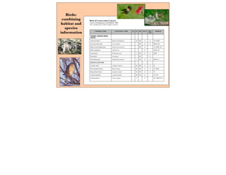 COMMON NAME SCIENTIFIC NAME US NY PIF SGCN DEV-
SEN
HABITAT
GREBES, WADING BIRDS,
DUCKS
American bittern Botaurus lentiginosus SC PIF X X OU, MSW
American black duck Anas rubripes PIF X X MSW, LW
Black-crowned night heron Nycticorax nycticorax PIF X TF, MSW, LW
Blue-winged teal Anas discors X MSW, OU
Least bittern Ixobrychus exilis T PIF X X MSW
Wood duck Aix sponsa PIF X
Pied billed grebe Podilymbus podiceps T PIF X X MSW, LC
DIURNAL RAPTORS
Cooper's hawk Accipiter cooperii SC PIF X X TF
Red-shouldered hawk Buteo lineatus SC PIF X X TF, MSW
Sharp-shinned hawk Accipiter striatus SC PIF X X TF
Northern goshawk Accipiter gentilis SC PIF X TF, AM
Northern harrier Circus cyaneus T X OU, MSW, LW
Birds of Conservation Concern
Towns of Montgomery and Wallkill: 2008
This is a preliminary list, subject to update as necessary.
Birds:
combining
habitat and
species
information
 