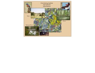 Correlating habitat
and species
information
3
5
7
4
6
810
11
917
12
12
20
/
The County of Orange makes no warranty
whatsoever as to the accuracy or
completeness of any information depicted
on this map. Data depicted here may have
been developed in cooperation with other
County departments, as well as other Federal,
State and Local government agencies. The
County of Orange hereby disclaims liability
for any loss or damage resulting from the use
of the information and/or representations
contained herein.
pared June 16, 2008
County Planning Department.
1 2
Miles
Text
Forest
Field
Wetland/Pond
 