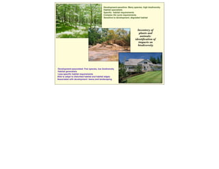 Inventory of
plants and
animals:
identiﬁcation of
impacts on
biodiversity
Development-sensitive: Many species, high biodiversity
Habitat specialists
Speciﬁc habitat requirements
Complex life cycle requirements
Sensitive to development, degraded habitat
Development-associated: Few species, low biodiversity
Habitat generalists
Less-speciﬁc habitat requirements
Able to adapt to disturbed habitat and habitat edges
Associated with development: lawns and landscaping
 