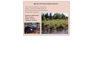 Species of Conservation Concern
Absence indicates habitat loss or degradation
Presence is associated with higher biodiversity
Interconnections among species and populations
Speciﬁc habitat requirements
Montgomery NRI identiﬁes:
Birds-- 75 species
Reptiles-- 10 species
Amphibians-- 16 species
 