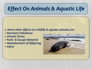 Effect On Animals & Aquatic Life
2. Some other effects on wildlife & aquatic animals are:
> Hormone Imbalance
> Chronic Stress
> Panic & Escape Behavior
> Abandonment of Offspring
> Injury
 