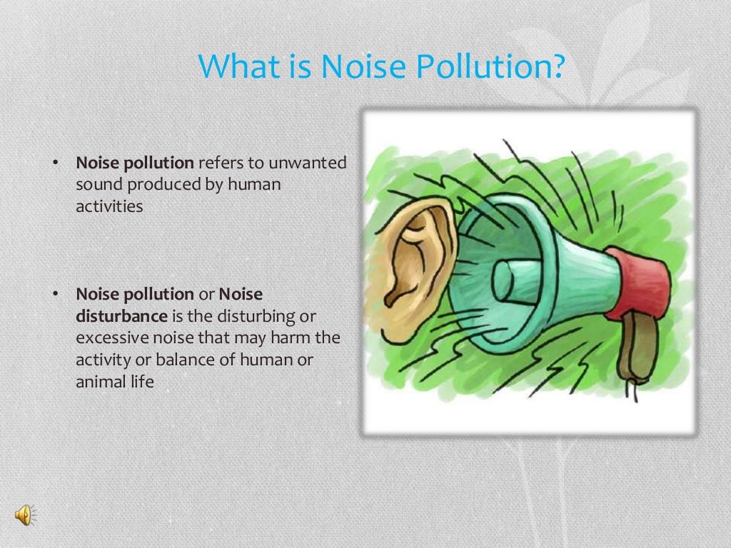 Noise pollution
