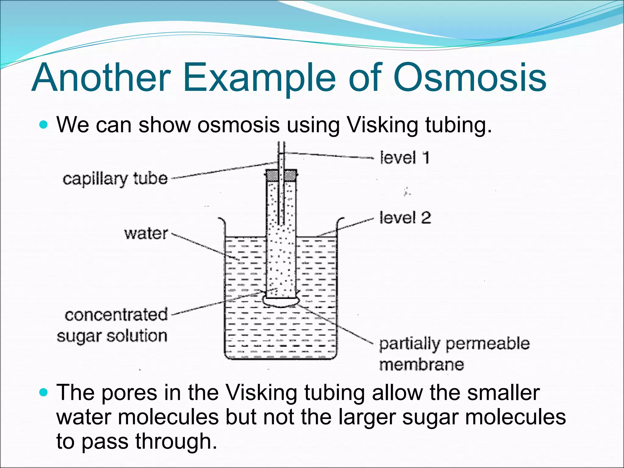 10. Transport System in Organisms E-learning - Diffusion & Osmosis | PPTX
