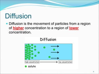 Diffusion Dispersal 10. Transport System in Organisms E-learning - Diffusion & Osmosis | PPTX