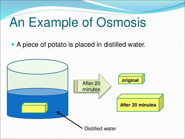 Living Environment Diffusion And Osmosis