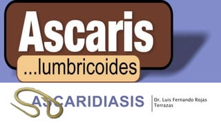 ASCARIDIASIS Dr. Luis Fernando Rojas
Terrazas
 