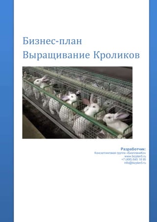 Бизнес-план
Выращивание Кроликов
Разработчик:
Консалтинговая группа «БизпланиКо»
www.bizplan5.ru
+7 (495) 645 18 95
info@bizplan5.ru
 