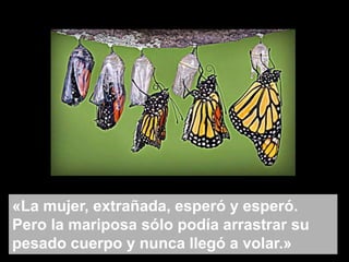 «La mujer, extrañada, esperó y esperó.
Pero la mariposa sólo podía arrastrar su
pesado cuerpo y nunca llegó a volar.»
 