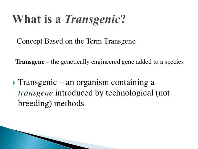 A Transgenic Organism Is: : Transgenic Examples - National Geographic - YouTube : This image (to the right) (courtesy of r.