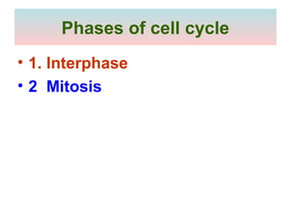Phases of cell cycle
• 1. Interphase
• 2 Mitosis
 