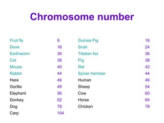 Chromosome number
Fruit fly 8 Guinea Pig 16
Dove 16 Snail 24
Earthworm 36 Tibetan fox 36
Cat 38 Pig 38
Mouse 40 Rat 42
Rabbit 44 Syrian hamster 44
Hare 46 Human 46
Gorilla 48 Sheep 54
Elephant 56 Cow 60
Donkey 62 Horse 64
Dog 78 Chicken 78
Carp 104
 