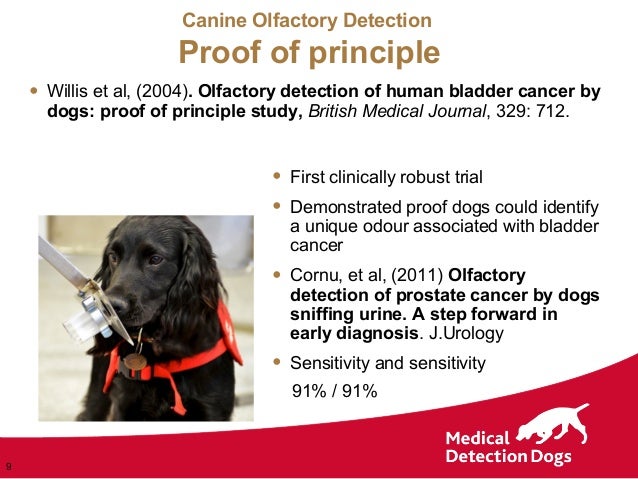 dog blatter cancer