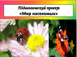 Педагогический проект
«Мир насекомых»
 
