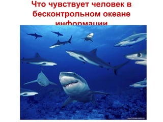 Что чувствует человек в
бесконтрольном океане
информации
 