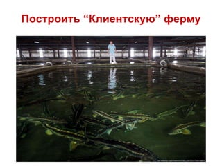 Построить “Клиентскую” ферму
 