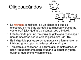Oligosacáridos
• La rafinosa (o melitosa) es un trisacárido que se
encuentra en muchas plantas leguminosas y crucíferas
como los frijoles (judías), guisantes, col, y brócoli.
• Está formada por una molécula de galactosa conectada a
una de sacarosa por un enlace glicosídico α(16).
• Es indigerible por los seres humanos y se fermenta en el
intestino grueso por bacterias produciendo gas.
• Tabletas que contienen la enzima alfa-galactosidasa, se
usan frecuentemente para ayudar a la digestión y para
evitar el meteorismo y flatulencias.
 