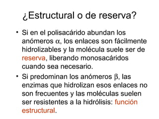 ¿Estructural o de reserva?
• Si en el polisacárido abundan los
anómeros α, los enlaces son fácilmente
hidrolizables y la molécula suele ser de
reserva, liberando monosacáridos
cuando sea necesario.
• Si predominan los anómeros β, las
enzimas que hidrolizan esos enlaces no
son frecuentes y las moléculas suelen
ser resistentes a la hidrólisis: función
estructural.
 