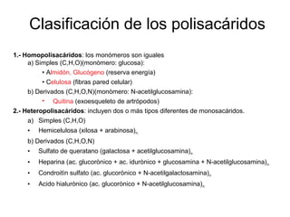 1.- Homopolisacáridos: los monómeros son iguales
a) Simples (C,H,O)(monòmero: glucosa):
• Almidón, Glucógeno (reserva energía)
• Celulosa (fibras pared celular)
b) Derivados (C,H,O,N)(monòmero: N-acetilglucosamina):
• Quitina (exoesqueleto de artrópodos)
2.- Heteropolisacáridos: incluyen dos o más tipos diferentes de monosacáridos.
a) Simples (C,H,O)
• Hemicelulosa (xilosa + arabinosa)n.
b) Derivados (C,H,O,N)
• Sulfato de queratano (galactosa + acetilglucosamina)n
• Heparina (ac. glucorònico + ac. idurònico + glucosamina + N-acetilglucosamina)n
• Condroitìn sulfato (ac. glucorònico + N-acetilgalactosamina)n
• Acido hialurònico (ac. glucorònico + N-acetilglucosamina)n
Clasificación de los polisacáridos
 