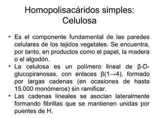 Homopolisacáridos simples:
Celulosa
• Es el componente fundamental de las paredes
celulares de los tejidos vegetales. Se encuentra,
por tanto, en productos como el papel, la madera
o el algodón.
• La celulosa es un polímero lineal de β-D-
glucopiranosas, con enlaces β(1→4), formado
por largas cadenas (en ocasiones de hasta
15.000 monómeros) sin ramificar.
• Las cadenas lineales se asocian lateralmente
formando fibrillas que se mantienen unidas por
puentes de H.
 