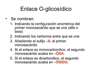 Enlace O-glicosídico
• Se nombran:
1. Indicando la configuración anomérica del
primer monosacárido que se une (alfa o
beta)
2. Indicando los carbonos entre que se une
3. Añadiendo el sufijo –IL al primer
monosacárido
4. Si el enlace es monocarbonílico, el segundo
monosacárido acaba en –ÓSA.
5. Si el enlace es dicarbonílico, el segundo
monosacárido acaba en –ÓSIDO.
 