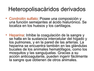 Heteropolisacàridos derivados
• Condroitin sulfato: Posee una composición y
una función semejantes al ácido hialurónico. Se
localiza en los huesos y los cartílagos.
• Heparina: Inhibe la coagulación de la sangre y
se halla en la sustancia intercelular del hígado y
los pulmones, y en la pared de las arterias. La
heparina se encuentra también en las glándulas
bucales de los animales hematófagos, como los
mosquitos y las sanguijuelas. Gracias a su
acción anticoagulante, pueden ingerir fácilmente
la sangre que obtienen de otros animales.
 