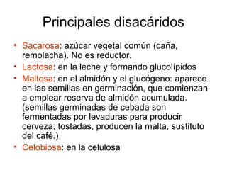 Principales disacáridos
• Sacarosa: azúcar vegetal común (caña,
remolacha). No es reductor.
• Lactosa: en la leche y formando glucolípidos
• Maltosa: en el almidón y el glucógeno: aparece
en las semillas en germinación, que comienzan
a emplear reserva de almidón acumulada.
(semillas germinadas de cebada son
fermentadas por levaduras para producir
cerveza; tostadas, producen la malta, sustituto
del café.)
• Celobiosa: en la celulosa
 