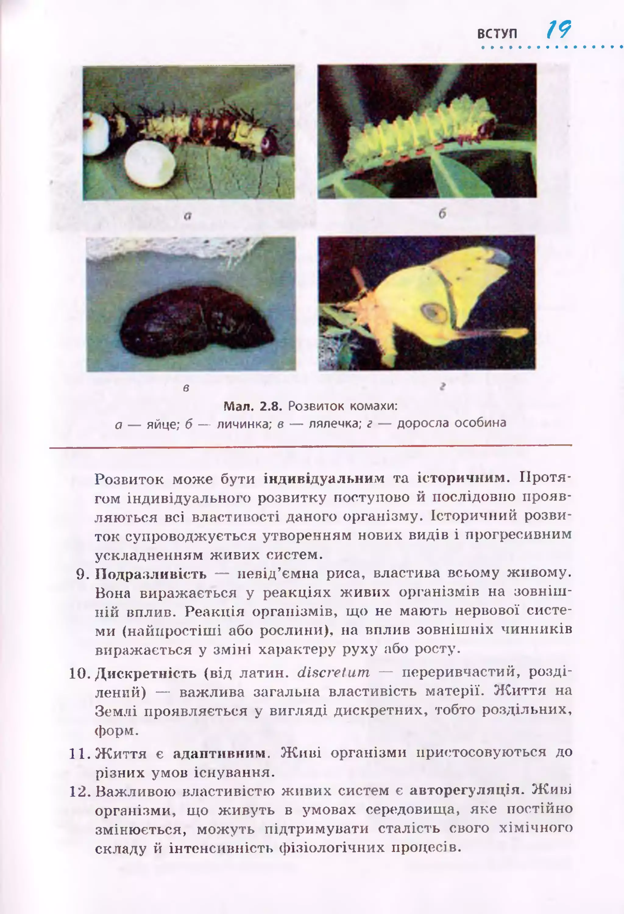 ВСТУП / 9
в
Мал. 2.8. Розвиток комахи:
а — яйце; б — личинка; в — лялечка; г — доросла особина
Розвиток може бути індивідуальним та історичним . П ротя­
гом індивідуального розвитку поступово й послідовно прояв­
ляю ться всі властивості даного організму. Історичний розви­
ток супроводжується утворенням нових видів і прогресивним
ускладненням ж ивих систем.
9. П одразливість — невід’ємна риса, властива всьому ж ивому.
Вона виражається у реакціях ж иви х організмів на зовніш ­
ній вплив. Реакція організмів, що не маю ть нервової систе­
ми (найпростіш і або рослини), на вплив зовніш ніх чинників
виражається у зм ін і характеру руху або росту.
10. Д искретність (від латин, discretum — переривчастий, розді­
лений) — важлива загальна властивість матерії. Ж и ття на
Зем лі проявляється у вигляді дискретних, тобто роздільних,
форм.
11. Ж и ття є адаптивним. Ж и в і організми пристосовую ться до
різних умов існування.
12. Важливою властивістю ж ивих систем є авторегуляція. Ж и ві
організми, що ж ивуть в умовах середовища, яке постійно
зміню ється, мож уть підтримувати сталість свого хім ічн ого
складу й інтенсивність ф ізіологічних процесів.
 