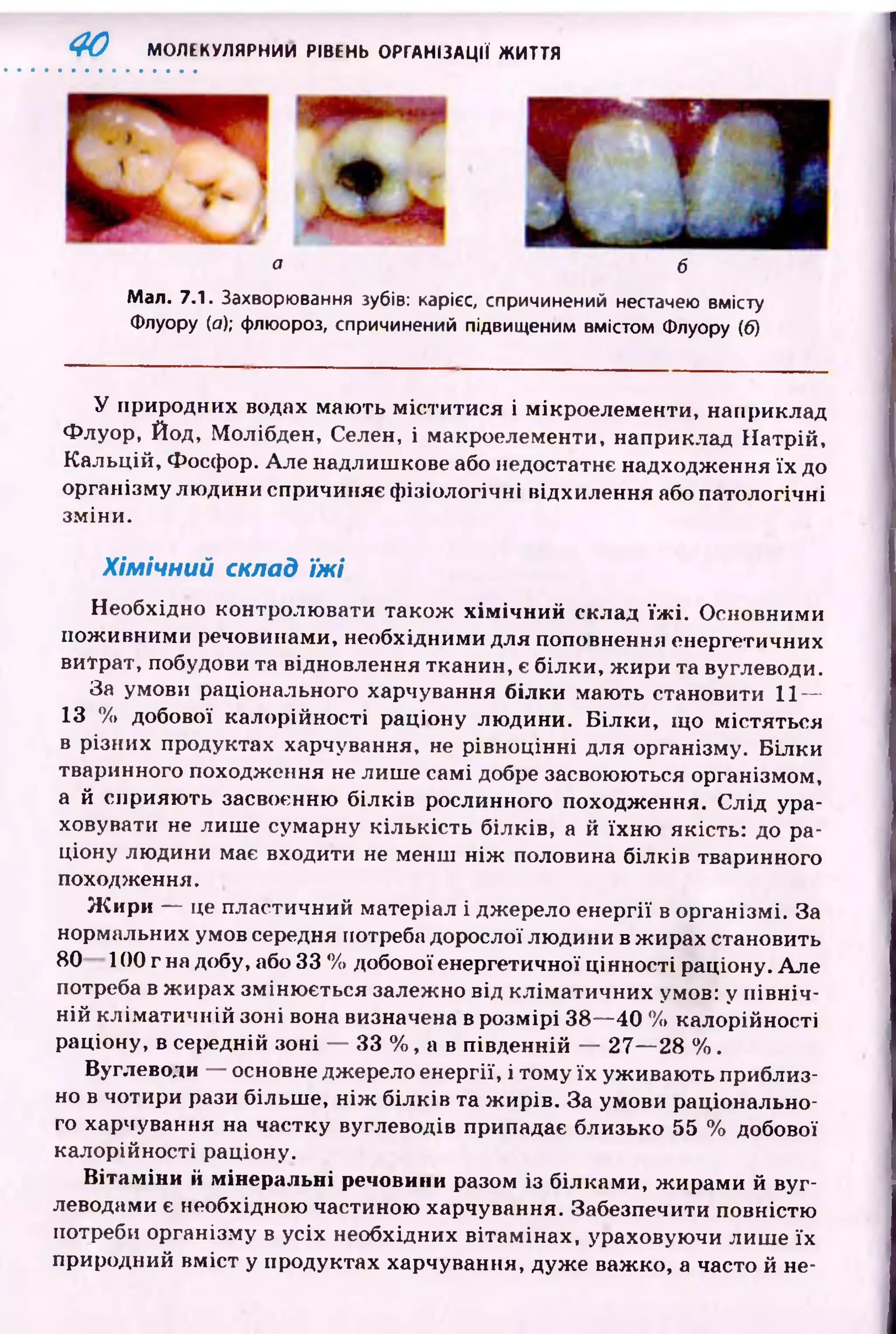 4 0 МОЛЕКУЛЯРНИМ РІВЕНЬ ОРГАНІЗАЦІЇ ЖИТТЯ
а б
Man. 7.1. Захворювання зубів: карієс, спричинений нестачею вмісту
Флуору (а); флюороз, спричинений підвищеним вмістом Флуору (б)
У природних водах маю ть м істи тися і мікроелементи, наприклад
Флуор, Йод, Молібден, Селен, і макроелементи, наприклад Н атрій,
К альцій, Фосфор. Але надлиш кове або недостатнє надходження їх до
організму людини спричиняє ф ізіологічні відхилення або патологічні
зміни.
Хімічний склад їжі
Необхідно контролю вати також хімічний склад їжі. Основними
пож ивними речовинами, необхідними для поповнення енергетичних
витрат, побудови та відновлення тканин, є білки, ж ири та вуглеводи.
За умови раціонального харчування білки мають становити 11—
13 % добової калорійності раціону лю дини. Б ілки , що містяться
в різних продуктах харчування, не рівноцінні для організму. Білки
тваринного походження не лиш е самі добре засвоюються організмом,
а й сприяю ть засвоєнню білків рослинного походження. С лід ура­
ховувати не лиш е сумарну кількість білків, а й їхн ю якість: до ра­
ціону людини має входити не менш н іж половина білків тваринного
походження.
Жири — це пластичний матеріал і джерело енергії в організмі. За
нормальних умов середня потреба дорослої лю дини в ж ирах становить
80 100 г на добу, або 33 % добової енергетичної цінності раціону. Але
потреба в ж ирах зміню ється залежно від клім атичних умов: у п івн іч ­
ній к л ім ати ч н ій зоні вона визначена в розмірі 38— 40 % калорійності
раціону, в середній зоні — 33 %, а в південній — 27— 28 %.
Вуглеводи — основне джерело енергії, і тому їх уж иваю ть приблиз­
но в чотири рази більш е, н іж білків та ж ирів. За умови раціонально­
го харчування на частку вуглеводів припадає близько 55 % добової
калорійності раціону.
Вітаміни й мінеральні речовини разом із білками, ж ирами й вуг­
леводами є необхідною частиною харчування. Забезпечити повністю
потреби організму в усіх необхідних вітамінах, ураховуючи лиш е їх
природний вм іст у продуктах харчування, дуж е важко, а часто й не­
 