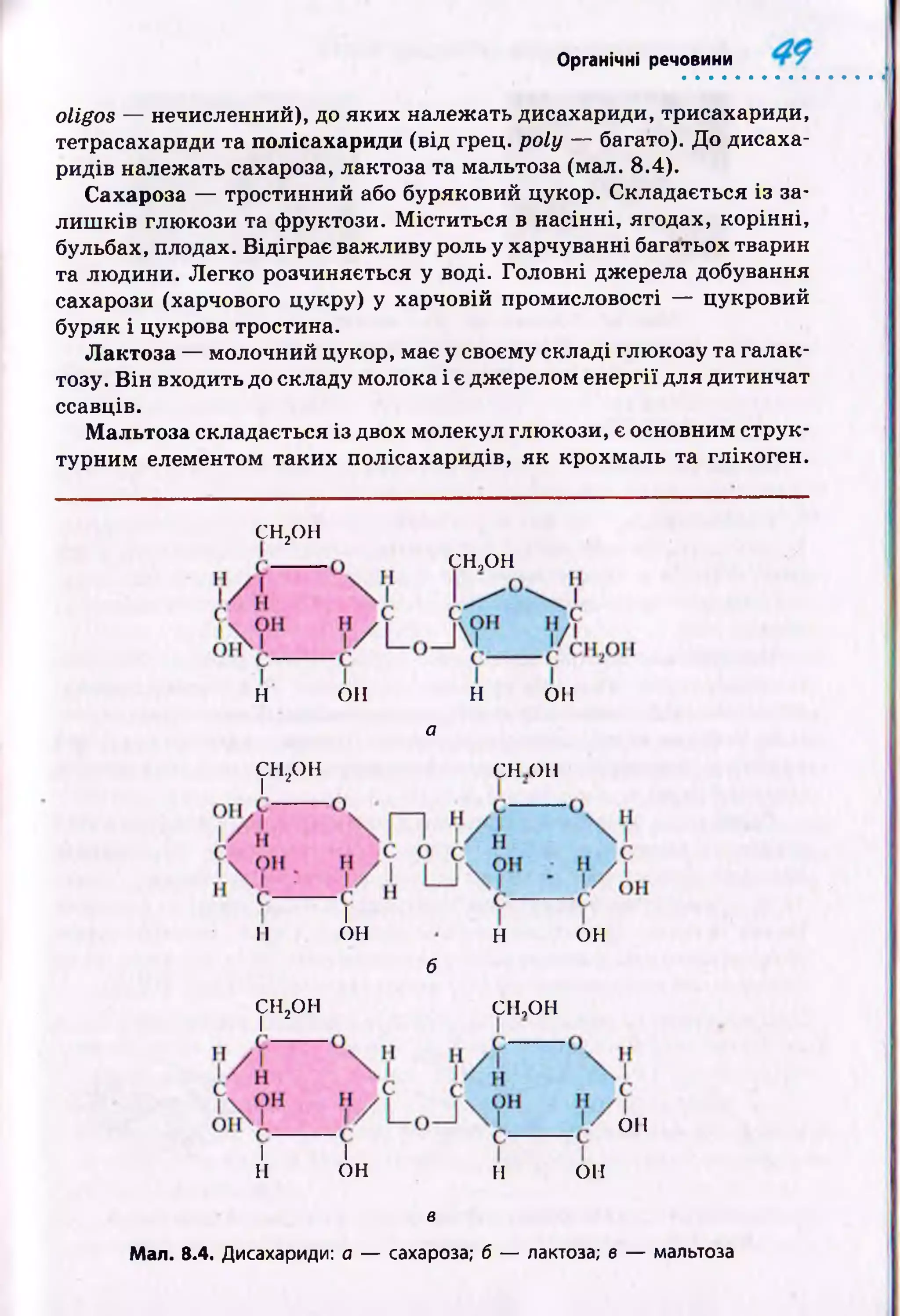 Органічні речовини
oligos — нечисленний), до яких належать дисахариди, трисахариди,
тетрасахариди та полісахариди (від грец. poly — багато). До дисаха­
ридів належать сахароза, лактоза та мальтоза (мал. 8.4).
Сахароза — тростинний або буряковий цукор. Складається із за­
ли ш ків глюкози та фруктози. М істи ться в насінні, ягодах, корінні,
бульбах, плодах. В ідіграє важ ливу роль у харчуванні багатьох тварин
та лю дини. Л егко розчиняється у воді. Головні джерела добування
сахарози (харчового цукру) у харчовій промисловості — цукровий
буряк і цукрова тростина.
Лактоза — молочний цукор, має у своєму складі глю козу та галак­
тозу. В ін входить до складу молока і є джерелом енергії для дитинчат
ссавців.
Мальтоза складається із двох молекул глю кози, є основним струк­
турним елементом таких полісахаридів, я к крохмаль та глікоген.
СН2ОН
сн,он
н он н онон
а
CH..OH
І 2
сн.он
І
онII н он
б
сн,он
І 2
сн,он
І І
н он
он
н он
в
Мал. 8.4. Дисахариди: а — сахароза; б — лактоза; в — мальтоза
 