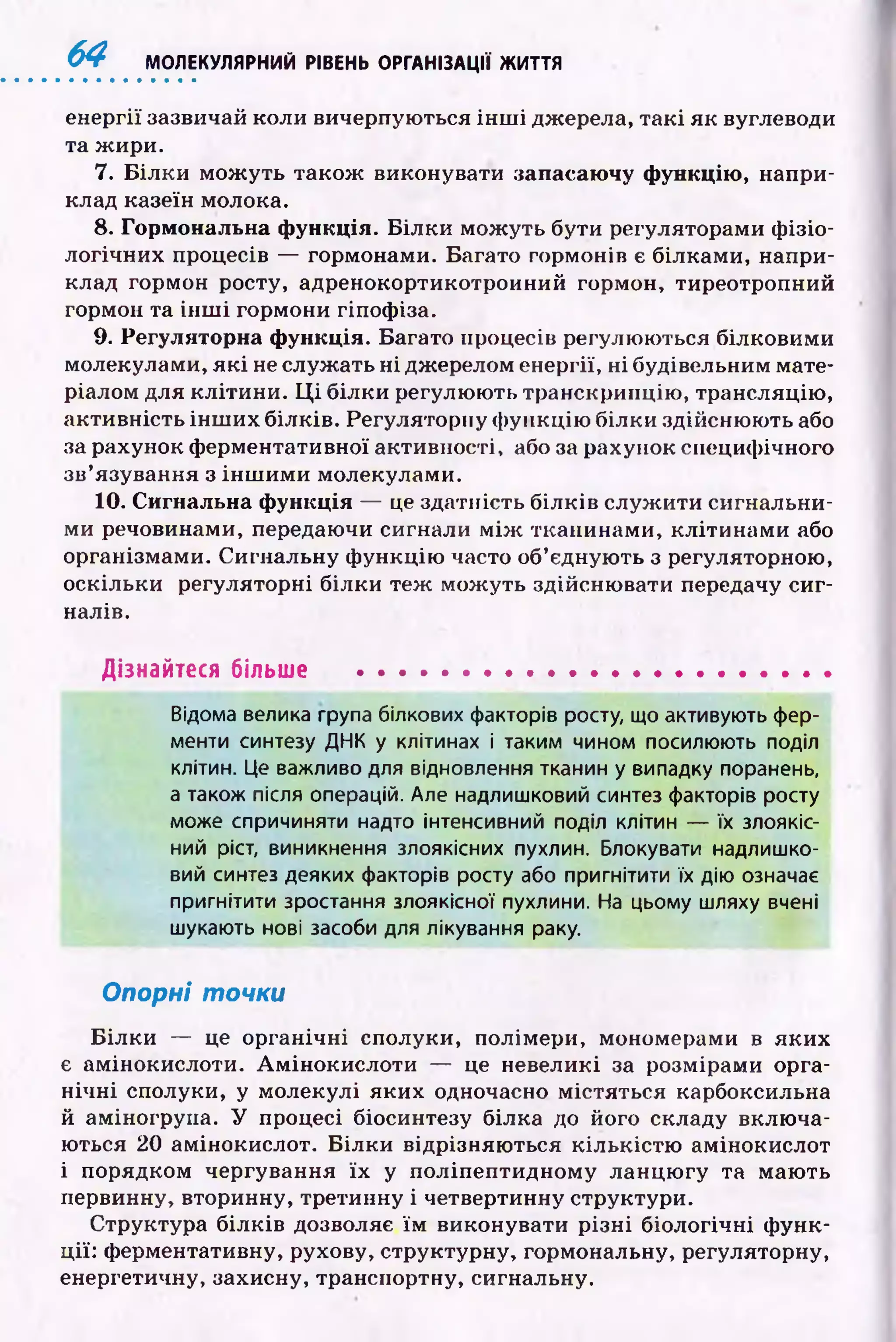 6 4 МОЛЕКУЛЯРНИЙ РІВЕНЬ ОРГАНІЗАЦІЇ ЖИТТЯ
енергії зазвичай коли вичерпуються ін ш і джерела, так і як вуглеводи
та ж ири.
7. Б іл к и мож уть також виконувати запасаючу функцію, напри­
клад казеїн молока.
8. Гормональна функція. Б ілки мож уть бути регуляторами ф ізіо­
логічних процесів — гормонами. Багато гормонів є білками, напри­
клад гормон росту, адренокортикотроиний гормон, тиреотропний
гормон та ін ш і гормони гіпоф іза.
9. Регуляторна функція. Багато процесів регулю ються білковими
молекулами, я к і не служ ать н і джерелом енергії, н і будівельним мате­
ріалом для кліти н и. Ц і білки регулю ю ть транскрипцію , трансляцію ,
активність ін ш и х білків. Регуляторну ф ункцію білки здійсню ю ть або
за рахунок ф ерментативної активності, або за рахунок специф ічного
зв’язування з ін ш и м и молекулами.
10. Сигнальна функція — це здатність б іл к ів служ ити сигнальни­
ми речовинами, передаючи сигнали м іж тканинами, кліти н ам и або
організмами. Сигнальну ф ункцію часто об’єдную ть з регуляторною,
оскільки регуляторні білки теж мож уть здійсню вати передачу си г­
налів.
Дізнайтеся більше ......................................................
Відома велика група білкових факторів росту, що активують фер­
менти синтезу ДНК у клітинах і таким чином посилюють поділ
клітин. Це важливо для відновлення тканин у випадку поранень,
а також після операцій. Але надлишковий синтез факторів росту
може спричиняти надто інтенсивний поділ клітин — їх злоякіс­
ний ріст, виникнення злоякісних пухлин. Блокувати надлишко­
вий синтез деяких факторів росту або пригнітити їх дію означає
пригнітити зростання злоякісної пухлини. На цьому шляху вчені
шукають нові засоби для лікування раку.
Опорні точки
Б ілки — це органічні сполуки, полімери, мономерами в яких
є амінокислоти. А м іноки слоти — це невеликі за розмірами орга­
н іч н і сполуки, у молекулі яких одночасно містяться карбоксильна
й аміногрупа. У процесі біосинтезу білка до його складу вклю ча­
ються 20 амінокислот. Б ілки відрізняю ться кількістю амінокислот
і порядком чергування їх у поліпептидному ланцю гу та маю ть
первинну, вторинну, третинну і четвертинну структури.
Структура білків дозволяє їм виконувати р ізн і біологічні ф унк­
ції: ферментативну, рухову, структурну, гормональну, регуляторну,
енергетичну, захисну, транспортну, сигнальну.
 