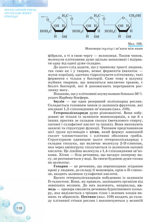 фібрили, а ті в свою чергу — волоконця. Таким чином,
молекули клітковини дуже щільно запаковані і відірва-
ти одну від одної дуже складно.
До цього слід додати, що у травному тракті людини,
так само як і у тварин, немає ферментів (виняток —
жуки короїди), здатних гідролізувати клітковину, такі
ферменти є тільки у бактерій. Саме тому в шлунку
жуйних тварини, що живляться виключно травою, є
безліч бактерій, які й допомагають перетравити рос-
линну масу.
Показово, що у клітковині акумульовано близько 50 %
усього Карбону біосфери.
Інулін — ще один резервний полісахарид рослин.
Складається головним чином із залишків фруктози, які
поєднані 1,2 глікозидними зв’язками (мал. 108).
Гетерополісахариди дуже різноманітні. Вони побу-
довані не тільки із залишків моносахаридів, а ще й з
інших простих за складом сполук (метилового спирту,
оцтової і сульфатної кислот та інших). Вони виконують
захисні та структурні функції. Типовим представником
цієї групи вуглеводів є хітин, який формує зовнішній
скелет членистоногих і клітинні оболонки грибів.
Структурною одиницею цього гетерополісахариду є
складна сполука, що включає молекулу β D глюкози,
яка через аміногрупу сполучається із залишком оцтової
кислоти. Це лінійна молекула з 1,4 глікозидними зв’яз-
ками. Хітин — біла речовина, що нагадує паперову ма-
су, не розчиняється у воді. За своєю будовою дуже схожа
на целюлозу.
Гепарин — це речовина, що перешкоджає зсіданню
крові у людини, до складу її мономерів, крім α D глюко-
зи, входить залишок сульфатної кислоти.
Багато гетерополісахаридів побудовано із залишків
D галактози. Вони, як правило, захищають організм від
зовнішніх впливів. До них належить, наприклад, ка-
медь — прозора смолиста речовина бурштинового кольо-
ру, яка виділяється з тріщин гілок і зелених плодів ви-
шень та абрикосів. Пектини (мал. 109) входять до скла-
ду клітинної стінки рослин і накопичуються у великій
118
МОЛЕКУЛЯРНИЙ РІВЕНЬ
ОРГАНІЗАЦІЇ ЖИВОЇ
ПРИРОДИ
Мал. 108.
Мономери інуліну і зв’язки між ними
 