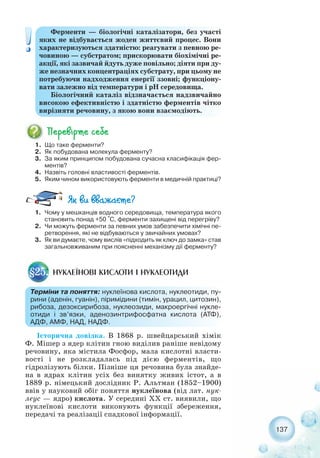 137
Ферменти — біологічні каталізатори, без участі
яких не відбувається жоден життєвий процес. Вони
характеризуються здатністю: реагувати з певною ре-
човиною — субстратом; прискорювати біохімічні ре-
акції, які зазвичай йдуть дуже повільно; діяти при ду-
же незначних концентраціях субстрату, при цьому не
потребуючи надходження енергії ззовні; функціону-
вати залежно від температури і рН середовища.
Біологічний каталіз відзначається надзвичайно
високою ефективністю і здатністю ферментів чітко
вирізняти речовину, з якою вони взаємодіють.
1. Що таке ферменти?
2. Як побудована молекула ферменту?
3. За яким принципом побудована сучасна класифікація фер-
ментів?
4. Назвіть головні властивості ферментів.
5. Яким чином використовують ферменти в медичній практиці?
1. Чому у мешканців водного середовища, температура якого
становить понад +50 °С, ферменти захищені від перегріву?
2. Чи можуть ферменти за певних умов забезпечити хімічні пе-
ретворення, які не відбуваються у звичайних умовах?
3. Як ви думаєте, чому вислів «підходить як ключ до замка» став
загальновживаним при поясненні механізму дії ферменту?
НУКЛЕЇНОВІ КИСЛОТИ І НУКЛЕОТИДИ§25.
Терміни та поняття: нуклеїнова кислота, нуклеотиди, пу-
рини (аденін, гуанін), піримідини (тимін, урацил, цитозин),
рибоза, дезоксирибоза, нуклеозиди, макроергічні нукле-
отиди і зв’язки, аденозинтрифосфатна кислота (АТФ),
АДФ, АМФ, НАД, НАДФ.
Історична довідка. В 1868 р. швейцарський хімік
Ф. Мішер з ядер клітин гною виділив раніше невідому
речовину, яка містила Фосфор, мала кислотні власти-
вості і не розкладалась під дією ферментів, що
гідролізують білки. Пізніше ця речовина була знайде-
на в ядрах клітин усіх без винятку живих істот, а в
1889 р. німецький дослідник Р. Альтман (1852–1900)
ввів у науковий обіг поняття нуклеїнова (від лат. нук-
леус — ядро) кислота. У середині ХХ ст. виявили, що
нуклеїнові кислоти виконують функції збереження,
передачі та реалізації спадкової інформації.
 