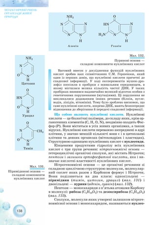 138
МОЛЕКУЛЯРНИЙ РІВЕНЬ
ОРГАНІЗАЦІЇ ЖИВОЇ
ПРИРОДИ
Вагомий внесок у дослідження функцій нуклеїнових
кислот зробив наш співвітчизник С.М. Гершензон, який
один із перших довів, що нуклеїнові кислоти причетні до
спадкової інформації. У ході експериментів мушок дро-
зофіл поселяли в пробірки з живильним середовищем, в
якому містилася велика кількість чистої ДНК. У таких
пробірках виявився надзвичайно великий відсоток особин з
генетичними порушеннями (мутаціями). Ці порушення не
викликалися додаванням інших речовин (білків, вугле-
водів, ліпідів, вітамінів). Тому було зроблено висновок, що
саме нуклеїнові кислоти, зокрема ДНК, мають безпосереднє
відношення до зберігання й передачі спадкової інформації.
Що собою являють нуклеїнові кислоти. Нуклеїнові
кислоти — це біологічні полімери, до складу яких, крім ор-
ганогенних елементів (C, H, O, N), неодмінно входить Фос-
фор (P). Вони містяться в усіх живих організмах, а також
вірусах. Нуклеїнові кислоти переважно зосереджені в ядрі
клітини, у значно меншій кількості вони є і в цитоплазмі
клітини та деяких органелах (мітохондріях і пластидах).
Структурною одиницею нуклеїнових кислот є нуклеотиди.
Кінцевими продуктами гідролізу всіх нуклеїнових
кислот є три групи речовин: нітрогеновмісні основи —
гетероциклічні органічні сполуки, які містять Нітроген;
пентози і залишки ортофосфатної кислоти, яка і ви-
значає кислотні властивості нуклеїнових кислот.
Нітрогеновмісні основи — це органічні речовини зі
складною циклічною структурою молекули, молекуляр-
ний скелет яких разом з Карбоном формує і Нітроген.
Вони поділяються на два класи: однокільцеві —
піримідини (тимін, цитозин, урацил) (мал. 131) і
двокільцеві — пурини (аденін, гуанін) (мал. 132).
Пентози — моносахариди з п’ятьма атомами Карбону
в молекулі: рибоза (С5Н10О5) та дезоксирибоза (С5Н10О4)
(мал. 133).
Сполуки, молекули яких утворені залишком нітроге-
новмісної основи і моносахаридом, називаються нуклео-
Мал. 132.
Пуринові основи —
складові компоненти нуклеїнових кислот
Мал. 131.
Піримідинові основи —
складові компоненти
нуклеїнових кислот
 