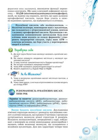 141
Нуклеїнові кислоти, або полінуклеотиди, —
біологічні полімери, мономерами яких є нуклеотиди,
що складаються з нітрогеновмісної основи, пентози
і залишку ортофосфатної кислоти. Нуклеотиди є не-
одмінними компонентами цитоплазми будь якої
клітини, вони входять до складу ферментів і утво-
рюють макроергічні сполуки, серед яких АТФ —
ключова речовина, що бере участь у перетвореннях
енергії в клітині.
1. До якої групи біологічних молекул належать нуклеїнові кис-
лоти?
2. Які хімічні елементи неодмінно містяться у молекулі нук-
леїнової кислоти?
3. У чому полягає трикомпонентність будови нуклеотиду?
4. Які зв’язки називають макроергічними?
5. Чому АТФ називають акумулятором енергії в клітині?
6. Вкажіть відмінність у будові НАД та НАДФ.
1. Чому в молекулах нуклеїнових кислот містяться пентози, а
не гексози?
2. Чому саме аденін, а не інша нітрогеновмісна основа входить
до складу АТФ?
ферментів вони належать), виконуючи функції перене-
сення електронів. Ще один ключовий кофермент нукле-
отид — НАДФ (нікотинамідаденіндинуклеотидфосфат),
який, на відміну від першого, містить ще один залишок
ортофосфатної кислоти, також бере участь в окис-
но відновних процесах, що відбуваються в клітинах.
РІЗНОМАНІТНІСТЬ НУКЛЕЇНОВИХ КИСЛОТ.
ТИПИ РНК
§26.
Терміни та поняття: дезоксирибонуклеотиди, дезокси-
рибонуклеїнова кислота (ДНК), рибонуклеотиди, рибо-
нуклеїнові кислоти (РНК): рибосомальна (рРНК), транс-
портна (тРНК) та інформаційна (іРНК).
Якими бувають нуклеїнові кислоти. Дослідження
хімічної структури молекул і розподілу нуклеїнових кис-
лот у клітині показали, що в різних її частинах і органелах
зустрічаються молекули різної структури й розмірів.
Більшість полінуклеотидів, зосереджених у ядрі, побудо-
вані з мономерів на основі моносахариду дезоксирибози і
являють собою величезні молекули, що складаються з
мільйонів нуклеотидів. Для них характерні чотири типи
 
