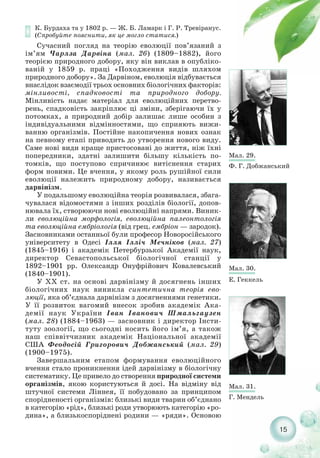 15
К. Бурдаха та у 1802 р. — Ж. Б. Ламарк і Г. Р. Тревіранус.
(Спробуйте пояснити, як це могло статися.)
Сучасний погляд на теорію еволюції пов’язаний з
ім’ям Чарлза Дарвіна (мал. 26) (1809–1882), його
теорією природного добору, яку він виклав в опубліко-
ваній у 1859 р. праці «Походження видів шляхом
природного добору». За Дарвіном, еволюція відбувається
внаслідок взаємодії трьох основних біологічних факторів:
мінливості, спадковості та природного добору.
Мінливість надає матеріал для еволюційних перетво-
рень, спадковість закріплює ці зміни, зберігаючи їх у
потомках, а природний добір залишає лише особин з
індивідуальними відмінностями, що сприяють вижи-
ванню організмів. Постійне накопичення нових ознак
на певному етапі приводить до утворення нового виду.
Саме нові види краще пристосовані до життя, ніж їхні
попередники, здатні залишити більшу кількість по-
томків, що поступово спричинює витіснення старих
форм новими. Це вчення, у якому роль рушійної сили
еволюції належить природному добору, називається
дарвінізм.
У подальшому еволюційна теорія розвивалася, збага-
чувалася відомостями з інших розділів біології, допов-
нювала їх, створюючи нові еволюційні напрями. Виник-
ли еволюційна морфологія, еволюційна палеонтологія
та еволюційна ембріологія (від грец. ембріон — зародок).
Засновниками останньої були професор Новоросійського
університету в Одесі Ілля Ілліч Мечніков (мал. 27)
(1845–1916) і академік Петербурзької Академії наук,
директор Севастопольської біологічної станції у
1892–1901 рр. Олександр Онуфрійович Ковалевський
(1840–1901).
У XX ст. на основі дарвінізму й досягнень інших
біологічних наук виникла синтетична теорія ево-
люції, яка об’єднала дарвінізм з досягненнями генетики.
У її розвиток вагомий внесок зробив академік Ака-
демії наук України Іван Іванович Шмальгаузен
(мал. 28) (1884–1963) — засновник і директор Інсти-
туту зоології, що сьогодні носить його ім’я, а також
наш співвітчизник академік Національної академії
США Феодосій Григорович Добжанський (мал. 29)
(1900–1975).
Завершальним етапом формування еволюційного
вчення стало проникнення ідей дарвінізму в біологічну
систематику. Це привело до створення природної системи
організмів, якою користуються й досі. На відміну від
штучної системи Ліннея, її побудовано за принципом
спорідненості організмів: близькі види тварин об’єднано
в категорію «рід», близькі роди утворюють категорію «ро-
дина», а близькоспоріднені родини — «ряди». Основою
Мал. 29.
Ф. Г. Добжанський
Мал. 30.
Е. Геккель
Мал. 31.
Г. Мендель
 
