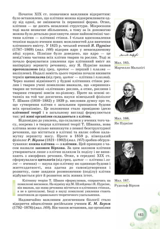 Початок XIX ст. позначився важливим відкриттям:
було встановлено, що клітини можна відокремлювати од-
ну від одної, не змінюючи їх первинної форми. Отже,
клітини — це досить незалежні структури. Мікроскопи
тоді мали незначне збільшення, а тому за їх допомогою
можна було детально розглянути лише найпомітніші час-
тини клітин — клітинні стінки. І тільки вдосконалення
техніки надало вченим нових можливостей для вивчення
клітинного вмісту. У 1825 р. чеський вчений Я. Пуркіне
(1787–1869) (мал. 166) відкрив ядро у ненасидженому
яйці курки. Пізніше було доведено, що ядро — це
невід’ємна частина всіх клітин тварин та рослин. Тоді ж
почало формуватися уявлення про клітинний вміст як
напіврідку зернисту речовину, яку Я. Пуркіне назвав
протоплазмою (від грец. протос — перший і плазма —
виліплене). Надалі замість цього терміна почали вживати
термін цитоплазма (від грец. цитос — клітина і плазма).
Через наявні відмінності у будові клітинних стінок рос-
лин і тварин учені помилково вважали, що «зернинки»
тварин не тотожні «клітинам» рослин, а отже, рослини і
тварини створені зовсім по різному. Проте на основі ос-
танніх на той час досягнень науки німецький фізіолог
Т. Шванн (1810–1882) у 1839 р. висловив думку про те,
що «утворення клітин є загальним принципом будови
всіх організмів». Це положення стало провідною ідеєю
клітинної теорії і в загальному вигляді формулюється
так: усі живі організми складаються з клітин.
Відповідно до уявлень, що склалися у вчених того ча-
су, зокрема і в творця клітинної теорії Т. Шванна, нова
клітина може вільно виникнути з певної безструктурної
речовини, що міститься в клітині та являє собою кала-
мутну зернисту масу. Проте в 1859 р. німецький
фізіолог Р. Вірхов (1821–1902) (мал. 167) зробив обґрун-
тування: кожна клітина — з клітини. Цей принцип з ча-
сом назвали законом Вірхова. За цим законом клітини
утворюються лише з клітин шляхом їх поділу і не вини-
кають з аморфних речовин. Отже, в середині XIX ст.
сформувалася цитологія (від грец. цитос — клітина і ло-
гос — вчення) — наука про клітину як одиницю будови і
життєздатності, яка здатна до самовідтворення і
розвитку, саме завдяки розмноженню (поділу) клітин
відбувається ріст й розвиток всіх живих істот.
Клітинну теорію Т. Шванн сформулював, спираючись на
помилковівисновки.НавідмінувідМ.ШлейденаіЯ.Пуркіне,
він вважав, що жива речовина міститься в клітинних стінках,
а не в цитоплазмі. Іноді в науці помилкові уявлення стають
поштовхом до правильного теоретичного узагальнення.
Надзвичайно важливим досягненням біології стало
відкриття яйцеклітини російським ученим К. М. Бером
(1792–1876) (мал. 168). Він також встановив, що організми
183
Мал. 165.
Марчелло Мальпігі
Мал. 166.
Ян Пуркіне
Мал. 167.
Рудольф Вірхов
 