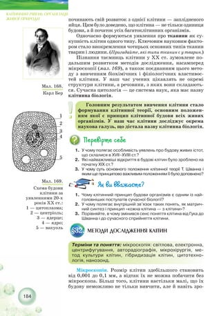 Мікроскопія. Розмір клітин здебільшого становить
від 0,001 до 0,1 мм, а відтак їх не можна побачити без
мікроскопа. Більш того, клітини настільки малі, що їх
будову неможливо не тільки вивчити, але й навіть зро-
починають свій розвиток з однієї клітини — заплідненого
яйця. Цим було доведено, що клітина — не тільки одиниця
будови, а й початок усіх багатоклітинних організмів.
Одночасно формуються уявлення про тканини як су-
купність клітин одного типу. Ключовим науковим факто-
ром стало виокремлення чотирьох основних типів тканин
тварин і людини. (Пригадайте, які типи тканин є у тварин.)
Пізнання таємниць клітини у XX ст. зумовлене по-
дальшим розвитком методів дослідження, насамперед
мікроскопії (мал. 169), а також поєднанням цього мето-
ду з вивченням біохімічних і фізіологічних властивос-
тей клітини. У наш час учених цікавлять не окремі
структури клітини, а речовини, з яких вони складають-
ся. Сучасна цитологія — це система наук, яка має назву
клітинна біологія.
184
КЛІТИННИЙ РІВЕНЬ ОРГАНІЗАЦІЇ
ЖИВОЇ ПРИРОДИ
Головним результатом вивчення клітини стало
формування клітинної теорії, основним положен-
ням якої є принцип клітинної будови всіх живих
організмів. У наш час клітини досліджує окрема
наукова галузь, що дістала назву клітинна біологія.
1. У чому полягає особливість уявлень про будову живих істот,
що склалися в ХVІІ–ХVІІІ ст.?
2. Які найважливіші відкриття в будові клітин було зроблено на
початку ХІХ ст.?
3. У чому суть основного положення клітинної теорії Т. Шванна і
яким ще принципово важливим положенням її було доповнено?
Мал. 168.
Карл Бер
Мал. 169.
Схема будови
клітини за
уявленнями 20 х
років ХХ ст.:
1 — цитоплазма;
2 — центріоль;
3 — ядерце;
4 — ядро;
5 — вакуоль
МЕТОДИ ДОСЛІДЖЕННЯ КЛІТИН§32.
Терміни та поняття: мікроскопія: світлова, електронна,
центрифугування, авторадіографія, мікрохірургія, ме-
тод культури клітин, гібридизація клітин, цитотехно-
логія, нанозонд.
1. Чому клітинний принцип будови організмів є одним із най-
головніших постулатів сучасної біології?
2. У чому полягає внутрішній зв’язок таких понять, як матрич-
ний синтез і принцип «кожна клітина — з клітини»?
3. Порівняйте, в чому змінився сенс поняття клітина від Гука до
Шванна і до сучасного сприйняття клітини.
 