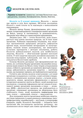 Мал. 38.
Різноманіття
людських рас —
наслідок
мінливості ДНК
БІОЛОГІЯ ЯК СИСТЕМА НАУК§4.
Терміни та поняття: гомеостаз, система біологічних наук,
дисципліна, геноміка, біоінформатика, біоніка, біоетика.
Біологія та її основні принципи. Біологія — наука
про життя в усіх його проявах. Об’єктом досліджень
біології є живі істоти та їх взаємодія з навколишнім
середовищем.
Біологія вивчає будову, функціонування, ріст, поход-
ження, історичний розвиток і поширення живих організмів
на Землі, описує й систематизує їх різноманітність,
взаємодію між собою та з навколишнім середовищем.
Людина (мал. 38) — істота біологічна, вона підко-
ряється тим самим законам природи, що й інші живі
організми. Руйнація середовища існування, яка загро-
жує виснаженням природних ресурсів, дефіцитом
прісної води, екологічними негараздами та катастро-
фами, появою нових захворювань, що вимагають
сучасних препаратів і методів лікування, робить
біологію найважливішої наукою для майбутнього
людства. Біологія — обов’язковий предмет шкільної
освіти. У світі щорічно виходять мільйони наукових та
науково популярних публікацій, які так чи інакше
стосуються біологічних проблем.
Сучасна біологія досліджує такі фундаментальні пи-
тання, як: клітинну будову організмів; еволюційне поход-
ження видів живого на Землі; генну теорію успадкування
ознак; стійкість організмів до зовнішніх факторів середо-
вища; забезпеченість організмів енергією — життєвою
силою,щопідтримуєпроцеси,яківідбуваютьсяворганізмі.
Сутність цих питань полягає в наступному: ˜ усі живі
організми складаються з клітин, а нові клітини утворю-
ються з материнських шляхом поділу; ˜ сучасна різно-
манітність живих організмів сформувалася в процесі
історичного розвитку життя на Землі, який називається
еволюцією; ˜ спадкова інформація про всі ознаки й влас-
тивості живих організмів закодована в генах — ділян-
ках ДНК; ˜ фізіологічні процеси, що відбуваються в
організмі, спрямовані насамперед на збереження його
стабільного стану, який називають гомеостазом (від
грец. гомеос — однаковий, стасис — нерухомість).
Для підтримки життя організмам необхідна енергія,
яку вони одержують із навколишнього середовища: авто-
трофи (рослини, ціанобактерії) — від Сонця, а гетеротрофи
(тварини, гриби, більшість бактерій) — поїдаючи інші
організми або поглинаючи органічну речовину, що
залишилася після смерті цих самих організмів. Процес
19
 