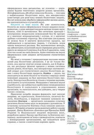 21
Мал. 41.
Пам’ятник собаці
Павлова.
Санкт Петербург
сформувалася така дисципліна, як геноміка — порів-
няння будови генетичних апаратів різних організмів.
Біоінформатика, або обчислювальна біологія, — теж одна
з наймолодших біологічних наук, яка використовує
комп’ютери для розв’язку певних біологічних завдань.
Без неї неможливо обробити інформаційні масиви даних,
що накопичуються в сучасній науці.
Біологія та інші науки. Як уже зазначалося,
біологія як наука сформувалася тільки завдяки експе-
риментам, у яких використовували методи точних наук:
фізики, хімії й математики. Без оптичних приладів і
електронних мікроскопів неможливий був би прогрес
ні у вивченні мікроорганізмів і клітин, ні у вивченні
дрібних клітинних структур. Без хімічних досліджень
не можна було б вивчити фізіологічні процеси, що
відбуваються в організмах тварин, і з’ясувати, яким
чином живляться рослини. Без математичних методів,
що забезпечують кількісний аналіз отриманих результатів,
просто не виникла б генетика й не було б зрозуміло, чому
діти так схожі на своїх батьків. Адже генетика як наука
сформувалася саме завдяки застосуванню статистичних
методів.
На межі з точними і природничими науками виник
цілий ряд біологічних дисциплін. І це не тільки біо-
хімія, яка вивчає хімічні основи живого, але й біофізи-
ка, що досліджує фізичні процеси у живих системах
різних рівнів, біометрія, яка використовує математич-
ний апарат для статистичного аналізу біологічних да-
них і опису біологічних процесів, біоніка — наука, що
знаходиться на межі біології та техніки і вирішує певні
інженерні завдання на базі вивчення біологічних про-
цесів. Інтегрується біологія не тільки з точними науками,
але й навіть із суспільними. Нещодавно з’явилися науки
соціобіологія, що займається проблемою співвідношення
біологічного й соціального в угрупованнях живих
організмів, та зоопсихологія, яка доводить, що у тварин
також є психіка.
Практичні потреби людини формують такі наукові
напрями, як агроекологія, біотехнологія, космічна біо-
логія, біомедицина, а моральні чинники зумовили ви-
никнення біоетики — органічного поєднання сучасних
досягнень біологічних наук та медицини з духовністю. У
сучасному суспільстві біоетика стала ознакою цивілізо-
ваності. В Україні останнім часом розпочато роботу в цьому
напрямі. Діють Комітети з біоетики при Президіях НАН
України та Національної академії медичних наук,
розроблено проект Закону про біоетику та біоетичну екс-
пертизу, налагоджено зв’язки з громадськістю, контакти
з міжнародними організаціями, що опікуються цією
справою, а також з комітетами окремих країн.
Мал. 40.
Золотистий
стафілокок — один
із найнебезпечніших
для людини
мікроорганізмів
Мал. 42.
Лелека —
птах символ
українців
 