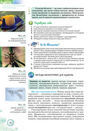 22
ЗАГАЛЬНА ХАРАКТЕРИСТИКА
ЖИВОЇ ПРИРОДИ
1. У чому полягають принципи сучасної біології?
2. Чому біологію вважають системою наук?
3. Які наукові напрями виникли в біології останнім часом?
4. Які напрями сучасних досліджень підтверджують інтеграцію
біології з суспільними науками?
5. Назвіть біологічні науки та предмет їх дослідження.
6. Побудуйте схему сучасної структури біології.
1. Сформулюйте свою точку зору щодо перспективного розвитку
біології. Які її напрями будуть пріоритетними в майбутньому?
2. Уякійгалузібіологіїособливуцінністьмаютьзнаннязфілософії?
3. Чи можливе повернення усіх природничих наук до однієї —
натурфілософії? Аргументуйте свою відповідь.
4. Як ви вважаєте, якщо у ХХ ст. біологію було визнано одним
з лідерів щодо кількості відкриттів та темпів розвитку, чи не
втратить вона своїх позицій у XXI ст.?
5. У якому з біологічних напрямів сьогодні найважче зробити
відкриття? Чому?
6. Яка біологічна наука має найскладніший об’єкт дослідження?
Мал. 43.
Коралові риби —
це найдивовижніші
істоти
Мал. 44.
Бабки не лише
найчарівніші істоти
серед комах, але й
найненажерливіші
хижаки
Мал. 45.
Амеба протей —
найпростіша
за будовою з амеб
Сучасна біологія — це одна з найпотужніших наук
сьогодення, що являє собою систему знань і включає
сотні дисциплін та напрямів досліджень. Нині розви-
ток біологічних досліджень є пріоритетом не тільки
науки, але й ознакою цивілізованого суспільства.
§5.
Терміни та поняття: наукові методи (описовий, порів-
няльний, експериментальний, історичний, моніторинг,
статичні, математичне моделювання), факт, гіпотеза,
принцип, закон, теорія, вчення, індукція, дедукція.
МЕТОДИ БІОЛОГІЧНИХ ДОСЛІДЖЕНЬ
Що таке науковий метод. Кожна наука має свою ме-
тодологію — сукупність принципів та ідей, а також спо-
собів отримання нової наукової інформації. Ці прийоми
надбання нових знань називаються науковими метода-
ми (від. грец. методос — шлях дослідження). Основою
будь якого наукового пошуку, джерелом одержання
знань є цілеспрямоване спостереження й чітко сплано-
ваний експеримент (від лат. експерементум — дослід).
Спостереження більш властиві біологічним наукам,
що вивчають біологічні процеси, які відбуваються у при-
роді. Наприклад, спостереження за міграцією птахів
(мал. 46), коливаннями чисельності комах, поведінкою
ссавців є важливими способами пізнання світу тварин, а
 
