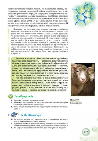 227
коорганізованих тварин, таких, як наприклад ссавці, пе-
ренесення ядра епітеліальної клітини в яйцеклітину з на-
ступним розвитком зародка усередині материнського ор-
ганізму виявилося досить складним. Найбільш відомим
випадком клонування ссавця з ядер соматичної тканини є
вівця Доллі (мал. 208). У 277 яйцеклітин були пересад-
жені ядра, які взяли з епітелію вимені тварини донора. З
них утворилося 29 ембріонів, один з яких і вижив.
Здається, як це заманливо: одержати клон — серію ге-
нетично ідентичних особин із епітеліальних клітин лю-
дини, яка має величезний талант — геніального музикан-
та, художника або вченого. Але такий шлях вирішення
проблем неможливий в принципі. В соматичних кліти-
нах за період їх життя накопичується стільки мутацій,
що навіть якби сурогатні матері й виносили дітей з
клітин геніїв людства, то такі нащадки не просто були б
мало схожими зі своїми геніальними батьками, а,
найімовірніше за все, мали генетичні відхилення, через
які довго не жили б. Як і вівця Долі, яка прожила тільки
6,5 років.
1. Що таке клітинна диференціація?
2. Як можна легко довести, що соматична клітина містить усю
сукупність генетичної інформації?
3. Яким чином експериментально доводиться тотипотентність
клітин?
Деяким клітинам багатоклітинного організму
властива тотипотентність — здатність давати початок
цілому організму внаслідок клітинної диференціації.
Хоча усі вони походять від однієї клітини — зиготи,
однак відрізняються від неї набором працюючих
генів, які і визначають сукупність хімічних реакцій,
що протікають у даній клітині й ті хімічні речовини,
які в ній утворюються і накопичуються.
Усі без винятку клітини, з яких побудовано тіло
багатоклітинного організму, тотипотентні — вони
мають однаковий набір генів. Саме тому із груп со-
матичних клітин рослин і деяких тварин у при-
родних умовах, а з одиничних клітин або їх ядер — у
лабораторних — можна виростити новий організм.
1. Чи всі організми, що складаються із мільйонів клітин є
по справжньому багатоклітинними?
2. Відмінності між клітинами організму визначаються відміннос-
тями наборів працюючих генів, а що визначає їхню спільність?
3. Які моральні проблеми викликає ідея клонування людей?
Мал. 208.
Вівця Доллі
 