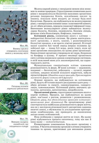 Молекулярний рівень є своєрідною межею між нежи-
вою та живою природою. Структурними елементами цього
рівня є макромолекули біологічно важливих органічних
речовин (наприклад білків, нуклеїнових кислот та
інших), оскільки вони входять до складу будь якої
біосистеми. Процеси, що відбуваються на молекулярному
рівні, є матеріальною основою ознак і властивостей живого,
як от: обмін речовин, передача спадкової інформації тощо.
Вивченням молекулярного рівня займаються молеку-
лярна біологія, біохімія, ензимологія, біохімія ліпідів,
фізична хімія біополімерів, біофізика, генетика.
Клітинний рівень, елементами якого є клітини —
найпростіші біологічні системи. Це рівень життєдіяль-
ності організму, з якого, власне, і розпочинаються
біологічні процеси, а не просто хімічні реакції. В історії
нашої планети був такий період (перша половина ар-
хейської ери — понад 3,5 млрд. років тому), коли всі
живі організми знаходились на цьому рівні організації.
Одноклітинні організми утворювали всі види, біоценози
та біосферу в цілому. У процесі еволюції органічного
світу клітина виявилася єдиною елементарною системою,
в якій можливий вияв усіх закономірностей, що харак-
теризують життя.
Функціональна спеціалізація клітин зумовлює
різноманітність їх форм. М’язові клітини — видовжені,
покривні — багатокутні, лейкоцити — кулясті, нервові
клітини, завдяки великій кількості відростків, набули
зірчастої форми. (Наведіть власні приклади. Проілюструйте
залежність форми клітини від її функції.)
Основні процеси, що відбуваються на клітинному
рівні, будуть об’єктами вашого дослідження цього року —
обмін речовин та енергії, самовідтворення, саморегу-
ляція, самооновлення. Клітинний рівень вивчають ци-
тологія, цитохімія, цитогенетика, мікробіологія.
Організмений рівень, структурною одиницею якого є
окремі особини. Процеси, що відбуваються на цьому
рівні, пов’язані з ростом, розвитком і розмноженням.
(Зверніть увагу, для одноклітинних організмів клітинний і
організмений рівні збігаються.) На організменому рівні
спостерігається найбільша різноманітність форм життя,
яка не є наслідком різноманітності дискретних одиниць
нижчої ланки, а обумовлена їх ускладненими просторо-
вими комбінаціями, які приводять до виникнення
якісно нових особливостей.
Поза особинами у природі життя не існує. На цьому
рівні відбуваються процеси онтогенезу, тому він має й
іншу назву — онтогенетичний.
Елементарним компонентом будь якого організму є
клітина. У багатоклітинному організмі клітини утворюють
тканини та органи, пристосовані для виконання різних
42
ЗАГАЛЬНА ХАРАКТЕРИСТИКА
ЖИВОЇ ПРИРОДИ
Мал. 68.
Взимку крижні
утворюють скупчення
навіть у великому місті
Мал. 69.
Гніздова колонія
мартина сріблястого
Мал. 70.
Виводок казарки
канадської, що
гніздиться в тундрі
 
