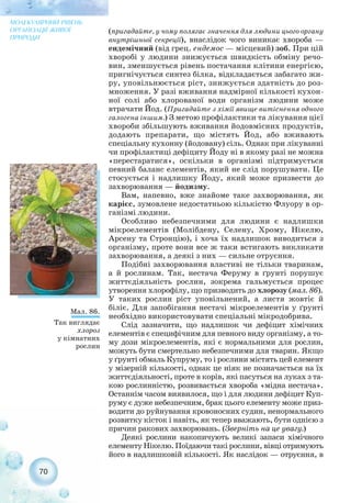 (пригадайте, у чому полягає значення для людини цього органу
внутрішньої секреції), внаслідок чого виникає хвороба —
ендемічний (від грец. ендемос — місцевий) зоб. При цій
хворобі у людини знижується швидкість обміну речо-
вин, зменшується рівень постачання клітини енергією,
пригнічується синтез білка, відкладається забагато жи-
ру, уповільнюється ріст, знижується здатність до роз-
множення. У разі вживання надмірної кількості кухон-
ної солі або хлорованої води організм людини може
втрачати Йод. (Пригадайте з хімії явище витіснення одного
галогена іншим.) З метою профілактики та лікування цієї
хвороби збільшують вживання йодовмісних продуктів,
додають препарати, що містять Йод, або вживають
спеціальну кухонну (йодовану) сіль. Однак при лікуванні
чи профілактиці дефіциту Йоду ні в якому разі не можна
«перестаратися», оскільки в організмі підтримується
певний баланс елементів, який не слід порушувати. Це
стосується і надлишку Йоду, який може призвести до
захворювання — йодизму.
Вам, напевно, вже знайоме таке захворювання, як
карієс, зумовлене недостатньою кількістю Флуору в ор-
ганізмі людини.
Особливо небезпечними для людини є надлишки
мікроелементів (Молібдену, Селену, Хрому, Нікелю,
Арсену та Стронцію), і хоча їх надлишок виводиться з
організму, проте вони все ж таки встигають викликати
захворювання, а деякі з них — сильне отруєння.
Подібні захворювання властиві не тільки тваринам,
а й рослинам. Так, нестача Феруму в ґрунті порушує
життєдіяльність рослин, зокрема гальмується процес
утворення хлорофілу, що призводить до хлорозу (мал. 86).
У таких рослин ріст уповільнений, а листя жовтіє й
біліє. Для запобігання нестачі мікроелементів у ґрунті
необхідно використовувати спеціальні мікродобрива.
Слід зазначити, що надлишок чи дефіцит хімічних
елементів є специфічним для певного виду організму, а то-
му дози мікроелементів, які є нормальними для рослин,
можуть бути смертельно небезпечними для тварин. Якщо
у ґрунті обмаль Купруму, то і рослини містять цей елемент
у мізерній кількості, однак це ніяк не позначається на їх
життєдіяльності, проте в корів, які пасуться на луках з та-
кою рослинністю, розвивається хвороба «мідна нестача».
Останнім часом виявилося, що і для людини дефіцит Куп-
руму є дуже небезпечним, брак цього елементу може приз-
водити до руйнування кровоносних судин, ненормального
розвитку кісток і навіть, як тепер вважають, бути однією з
причин ракових захворювань. (Зверніть на це увагу.)
Деякі рослини накопичують великі запаси хімічного
елементу Нікелю. Поїдаючи такі рослини, вівці отримують
його в надлишковій кількості. Як наслідок — отруєння, в
70
МОЛЕКУЛЯРНИЙ РІВЕНЬ
ОРГАНІЗАЦІЇ ЖИВОЇ
ПРИРОДИ
Мал. 86.
Так виглядає
хлороз
у кімнатних
рослин
 